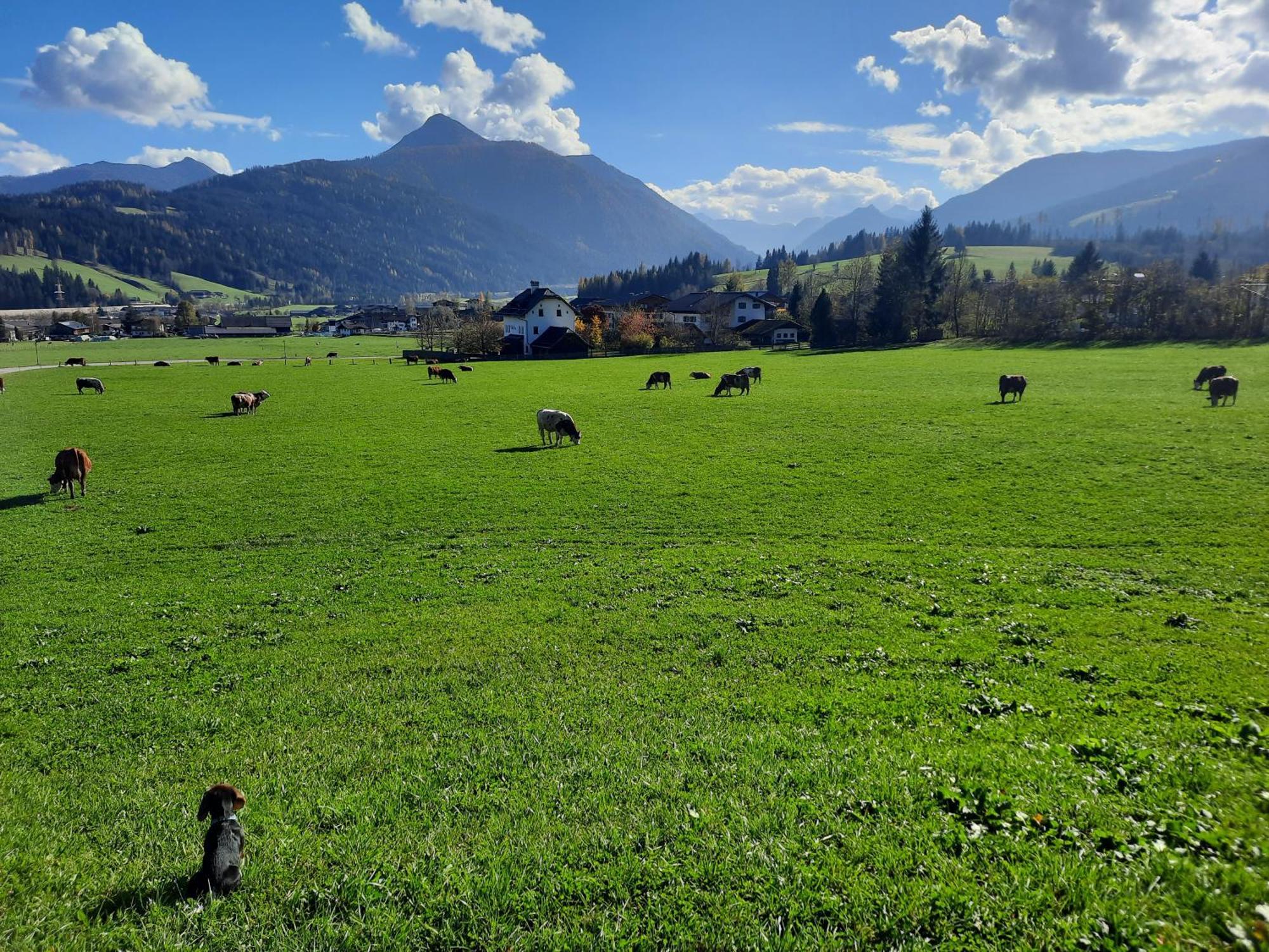 Landhotel Hinteraigengut Flachau Luaran gambar