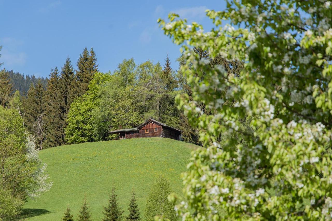 Landhotel Hinteraigengut Flachau Luaran gambar